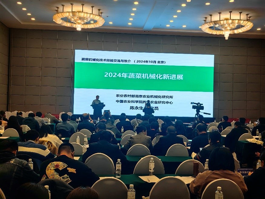 1730769521990863.jpg 3.jpg