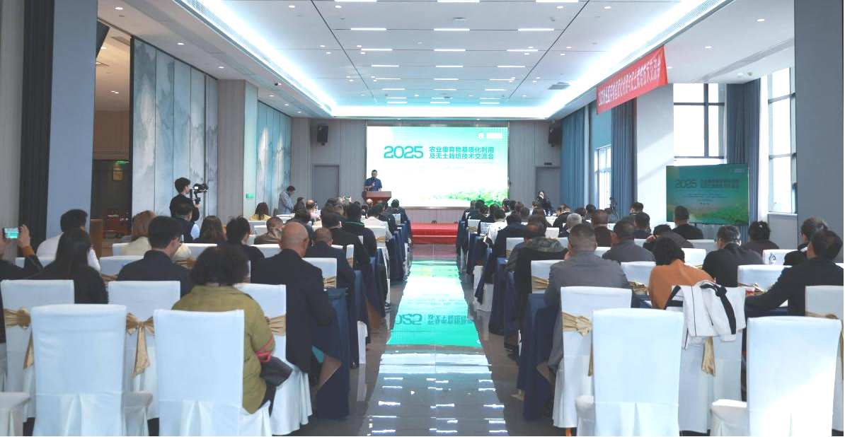 1762251604660241.png 图片1.png