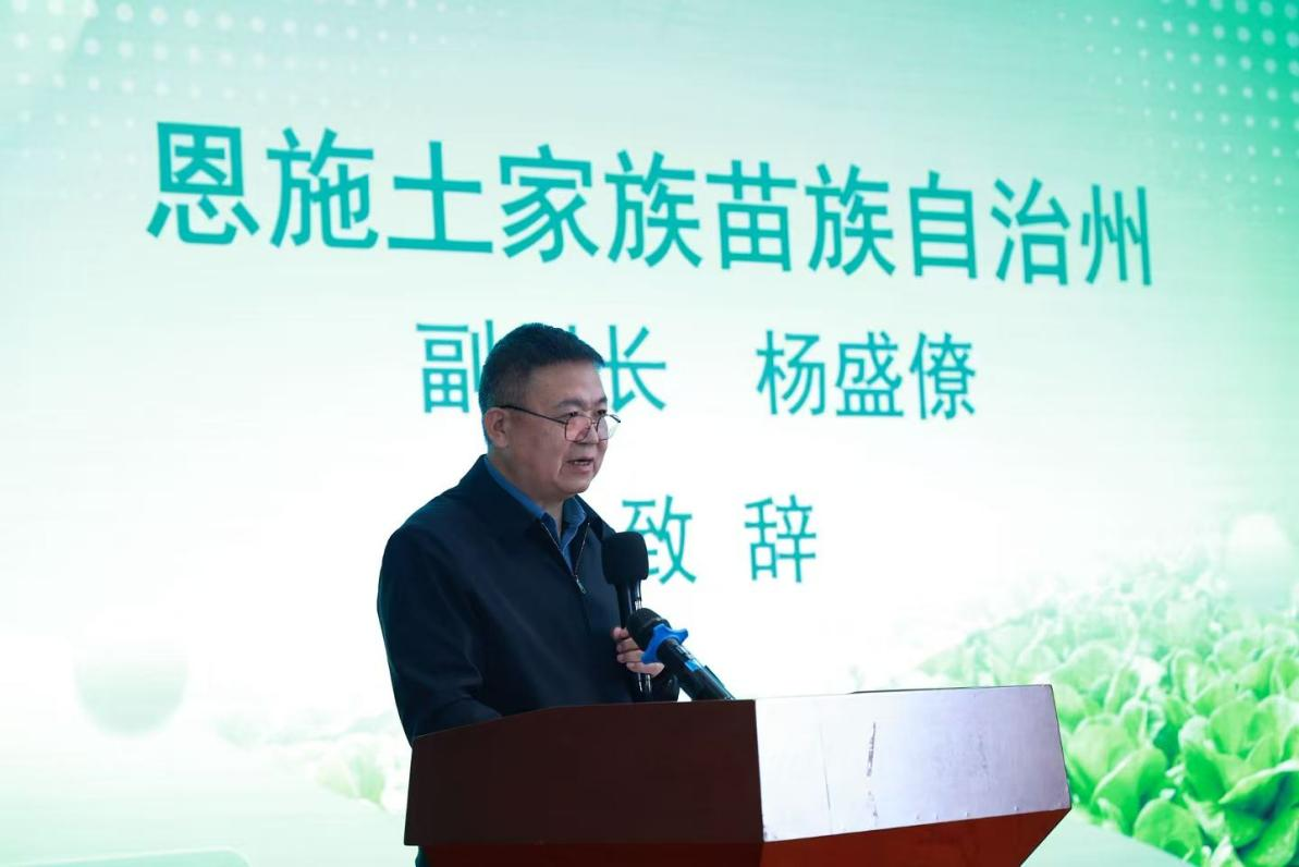 1762251698405337.png 图片3.png