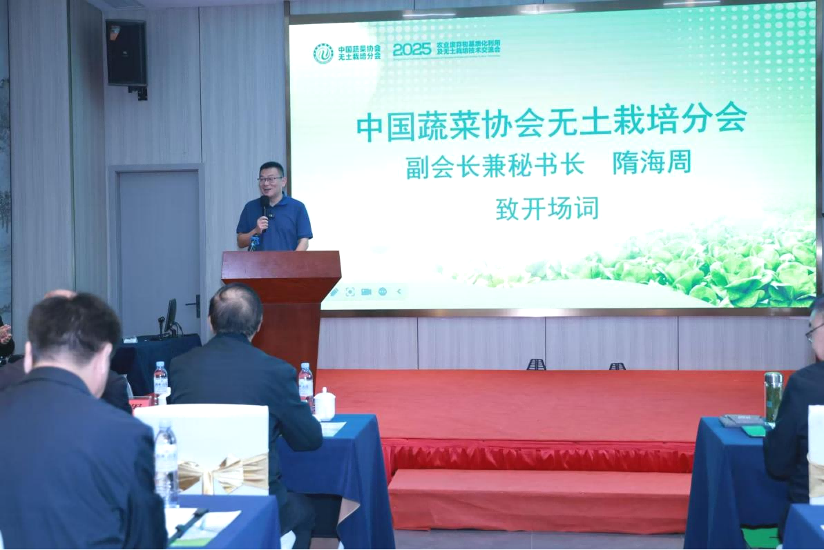 1762252697970883.png 图片5.png