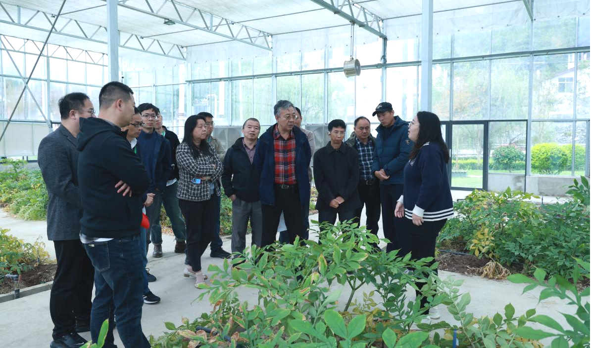 1762252991617554.png 图片12.png